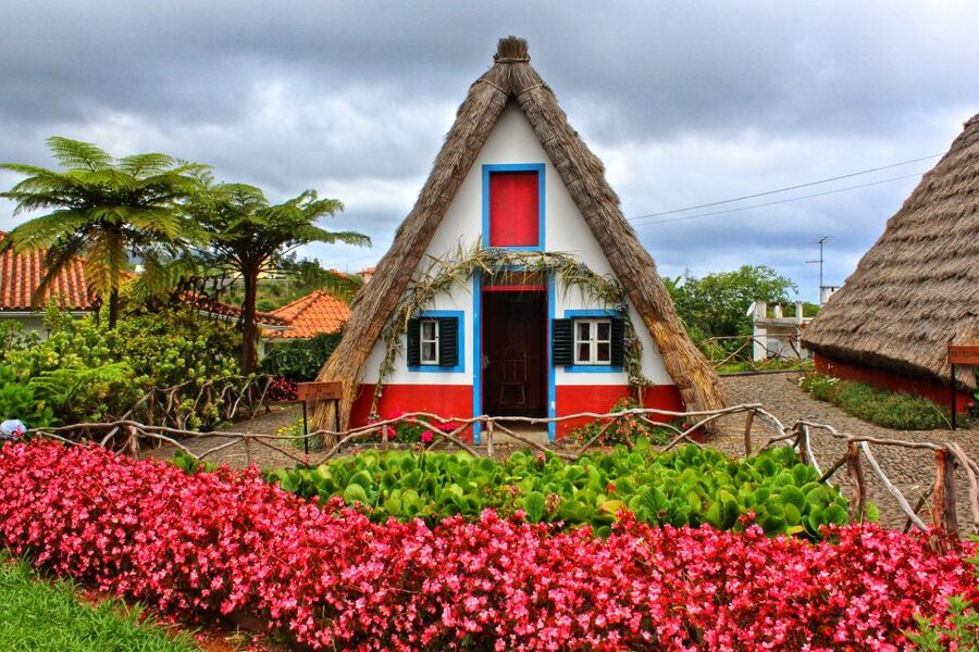 Funchal: East Madeira Island Guided Tour & Laurissilva Walk - Who this tour is best for, and who should rethink it