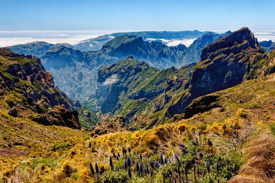 Funchal: East Madeira Island Guided Tour & Laurissilva Walk - Pico do Arieiro, Madeira’s high-start at 1,818 meters