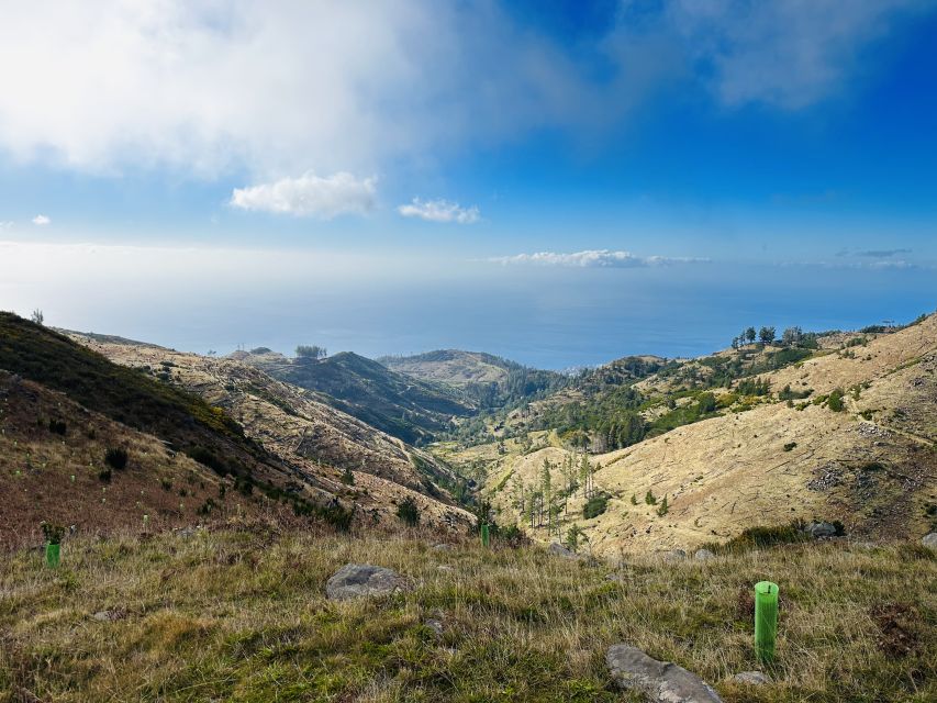 Funchal: East Madeira Island Guided Tour & Laurissilva Walk - Santana’s triangular thatched houses, plus a real chunk of free time