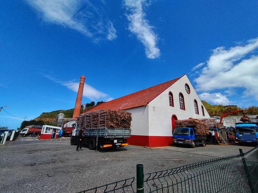 Funchal: East Madeira Island Guided Tour & Laurissilva Walk - The drive, pickup timing, and how guides keep the day smooth