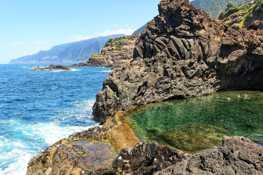 Funchal: Enchanted Terraces, Porto do Moniz & Fanal 4WD Tour - The Laurisilva Fanal Forest and the Fanal Witch Tree moment