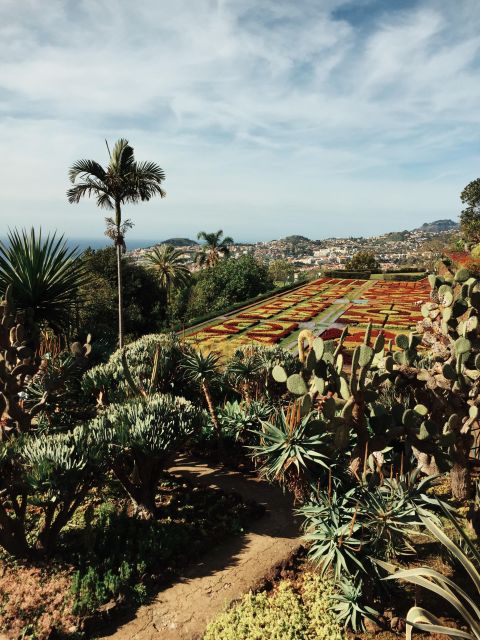 Funchal: Guided Old Town Tuk Tuk Tour and Botanical Gardens - How the tuk tuk makes Funchal easier (and more fun)