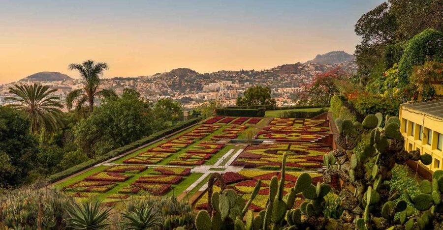 Funchal: Guided Old Town Tuk Tuk Tour and Botanical Gardens - Hotel pickup in Funchal, then straight into the Old Town