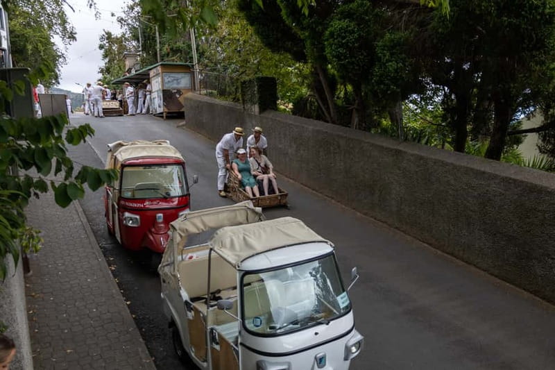 Funchal: Guided Tuk Tuk Tour to Toboggan Rides & Old Town - Price and logistics, what $88 really buys you
