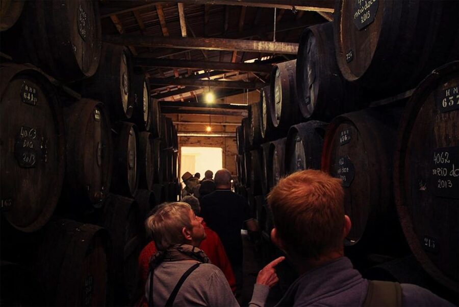 Funchal: H.M. Borges Winery Guided Tour with Wine Tasting - Key highlights you’ll actually care about