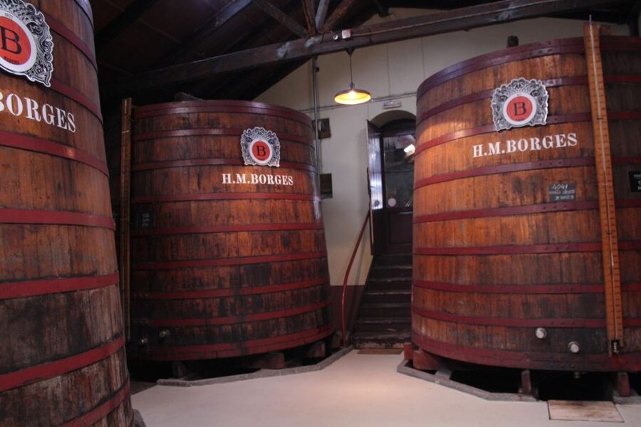 Funchal: H.M. Borges Winery Guided Tour with Wine Tasting - Should You Book the H.M. Borges Wine Tour in Funchal?