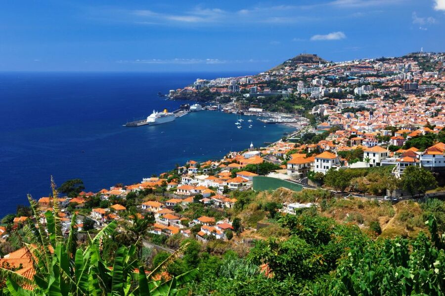 Funchal: Hop-On Hop-Off Bus Tour - Why the Yellow Bus Route Feels Easier Than You Think