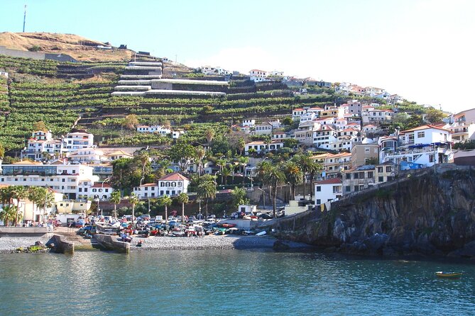 Funchal Hop-On Hop-Off Tour 3 in 1 - City Hall, Cathedral, and the quiet power of looking up