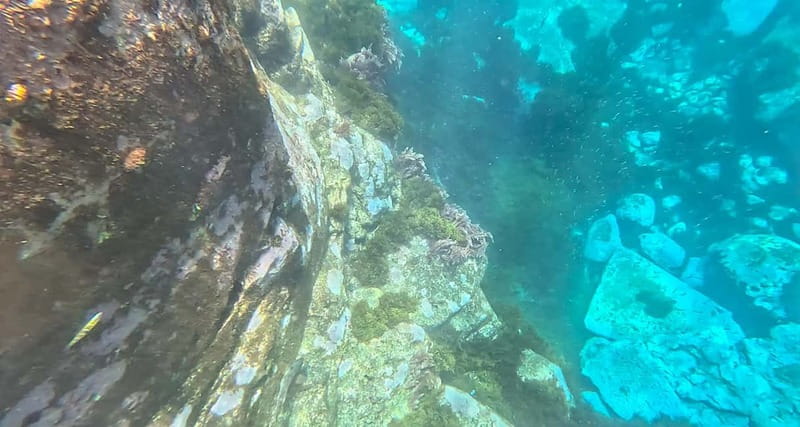 Funchal: Kayak and Snorkel Tour to Garajau NR - Praia do Lazareto snorkeling: what you’re really paying for