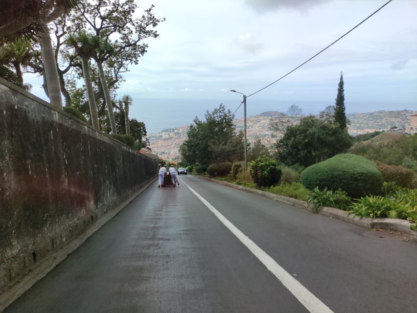 Funchal: Monte Toboggan and Old Town Tour by Tuk-Tuk - Key things I’d watch for on this Monte Toboggan tuk-tuk tour