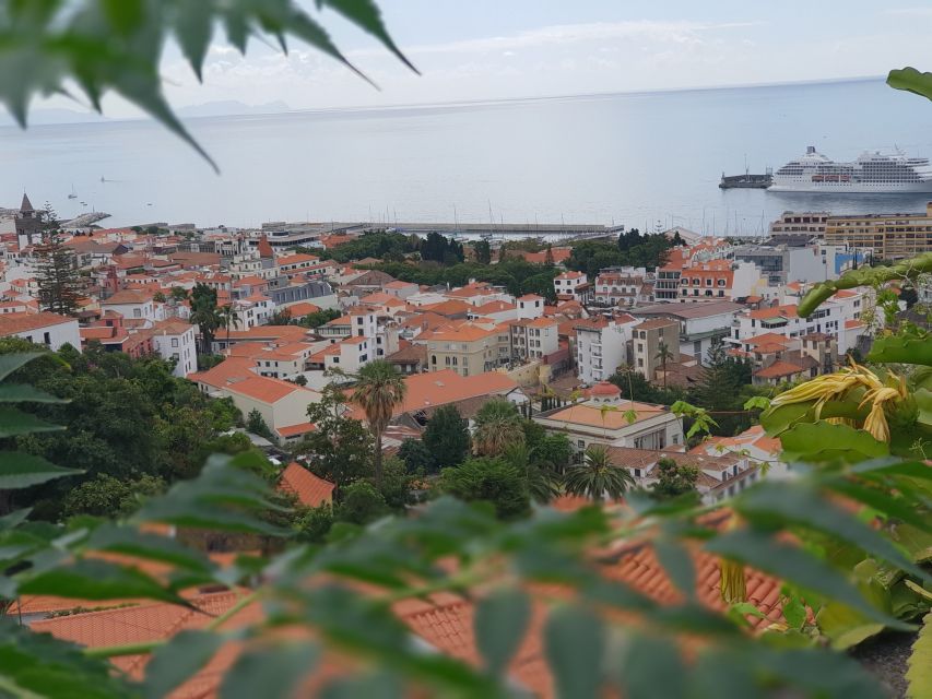 Funchal: Monte Toboggan and Old Town Tour by Tuk-Tuk - Booking decision: should you do the Monte Toboggan tuk-tuk tour?