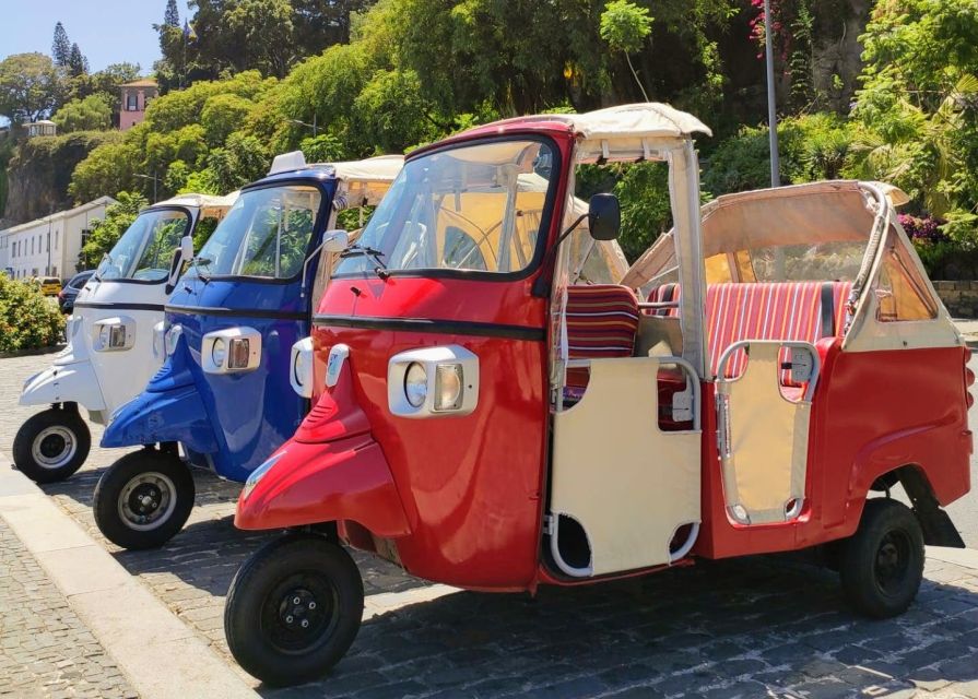 Funchal: Monte Toboggan and Old Town Tour by Tuk-Tuk - The basket-cart descent: the 2 km ride, ticket timing, and what to do if plans shift