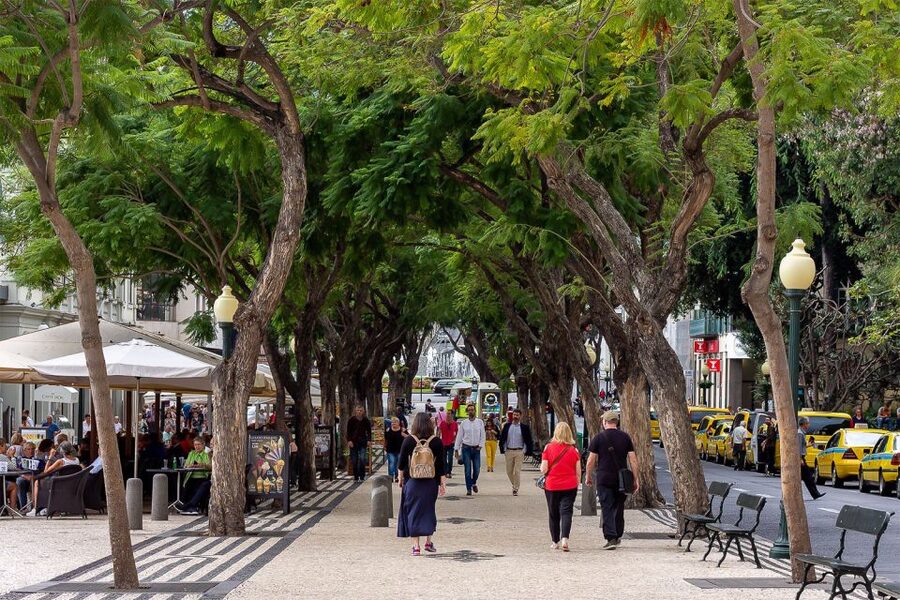 Funchal: Old Town Walking Tour - Key things you’ll love about the Funchal Old Town walk