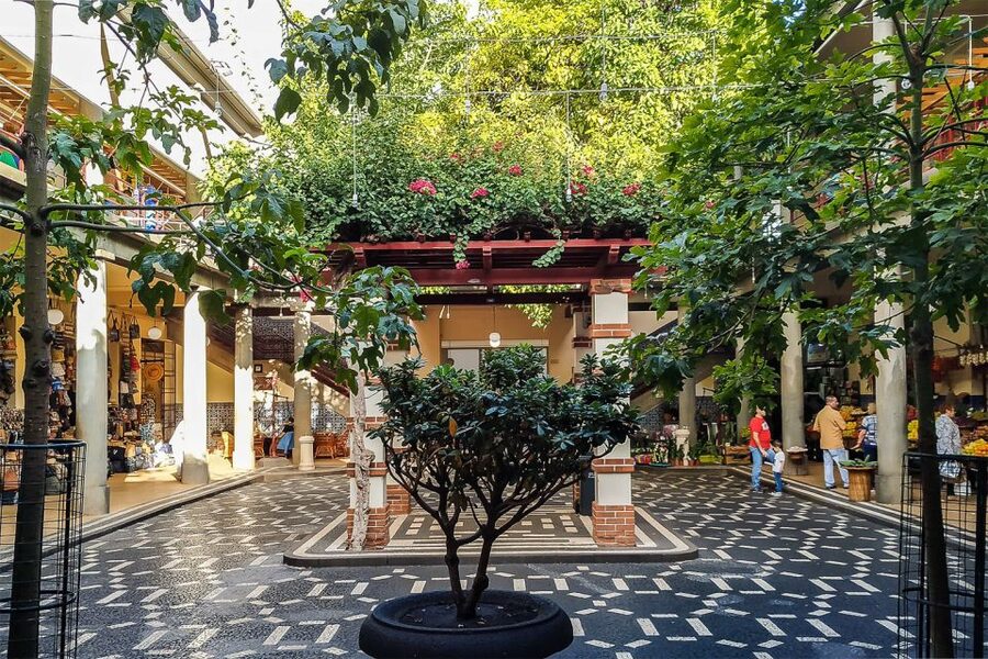 Funchal: Old Town Walking Tour - The Legislative Assembly, Funchal Cathedral, and when Madeira mattered to the world