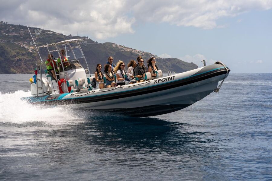 Funchal: RIB Whale Watching Cruise and Optional Dolphin Swim - What Makes This RIB Cruise Different From the Usual Whale Tour