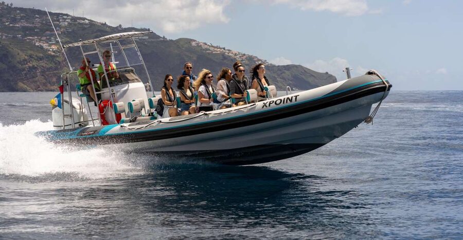 Funchal: RIB Whale Watching Cruise and Optional Dolphin Swim - From Funchal Harbor to the Open Ocean: Your 2.5 Hours in Motion