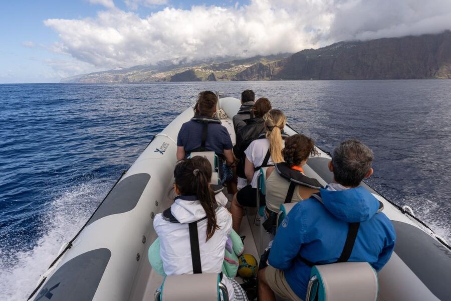 Funchal: RIB Whale Watching Cruise and Optional Dolphin Swim - What to Bring So You’re Comfortable in Madeira’s Windy Sea Air