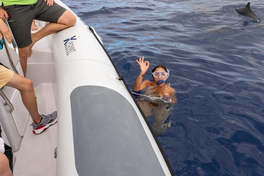 Funchal: RIB Whale Watching Cruise and Optional Dolphin Swim - The Dolphin and Whale Search: What the Crew Actually Does