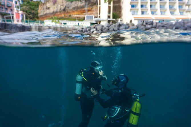 Funchal: Scuba Diving Experience for Beginners - The sea session on a private reef off Funchal
