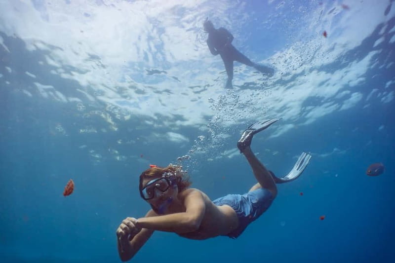 Funchal: Snorkeling Adventure in Eco-Park / Shore or by Boat - Quick reasons this 2-hour Funchal snorkeling is worth it