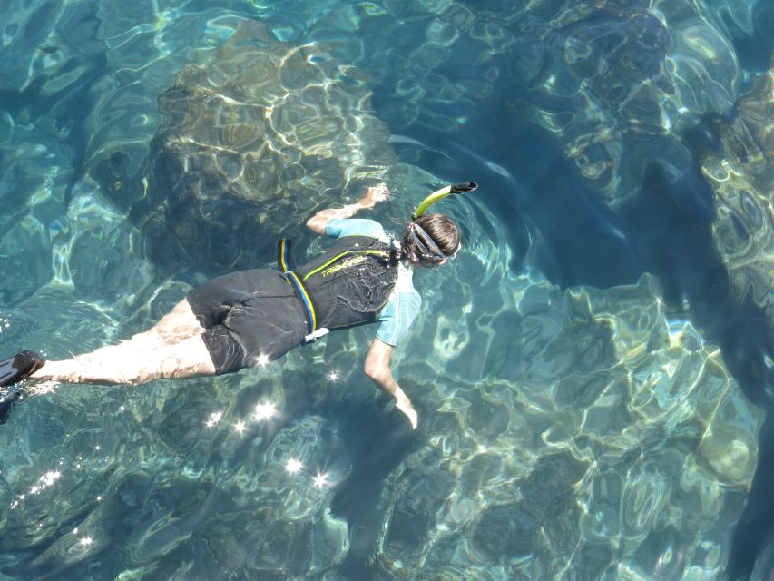 Funchal: Snorkeling Adventure in Eco-Park / Shore or by Boat - Option 2: Guided boat snorkeling in a protected marine reserve