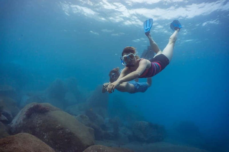 Funchal: Snorkeling Adventure in Eco-Park / Shore or by Boat - Fish you can actually spot, plus how to watch without chasing