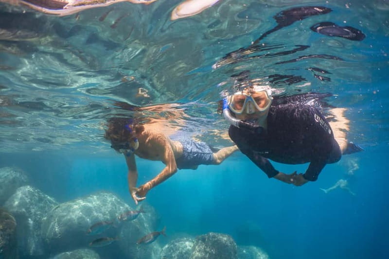 Funchal: Snorkeling Adventure in Eco-Park / Shore or by Boat - Your 2-hour flow: gear, safety briefing, and an intro you can trust