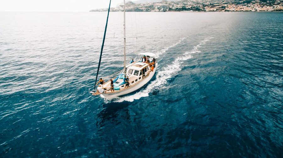 Funchal: Sunset Sailing Tour - Open Bar Included: Drinks as Part of the Fun, Not the Main Event