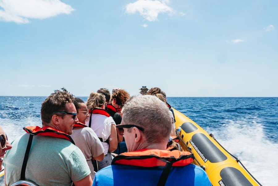 Funchal: Whale and Dolphin Watching Speed Boat Tour - The guides make it: marine facts you can actually use