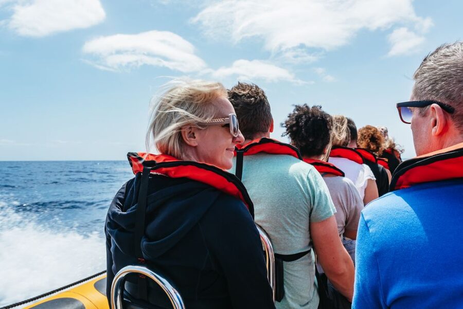 Funchal: Whale and Dolphin Watching Speed Boat Tour - Dolphins, whales, and what counts as a great day