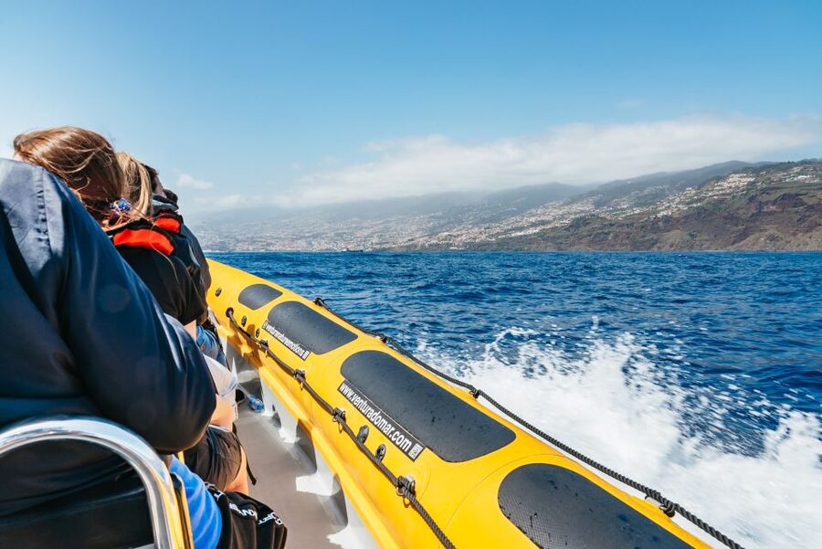 Funchal: Whale and Dolphin Watching Speed Boat Tour - Speedboat vs bigger boats, and why it changes your odds