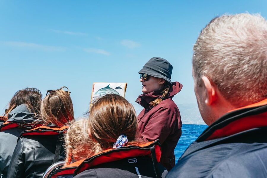 Funchal: Whale and Dolphin Watching Speed Boat Tour - Price and value: is $56 a good deal for 2.5 hours?