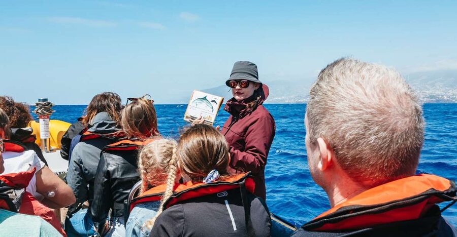 Funchal: Whale and Dolphin Watching Speed Boat Tour - Where you meet Ventura Nature Emotions in Funchal Marina