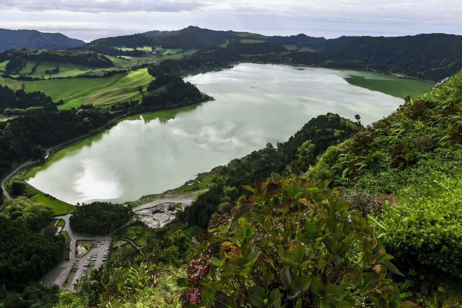 Furnas: Tea Plantations, Lake and Volcano Guided Tour - A Small-Group São Miguel Day That Actually Feels Local