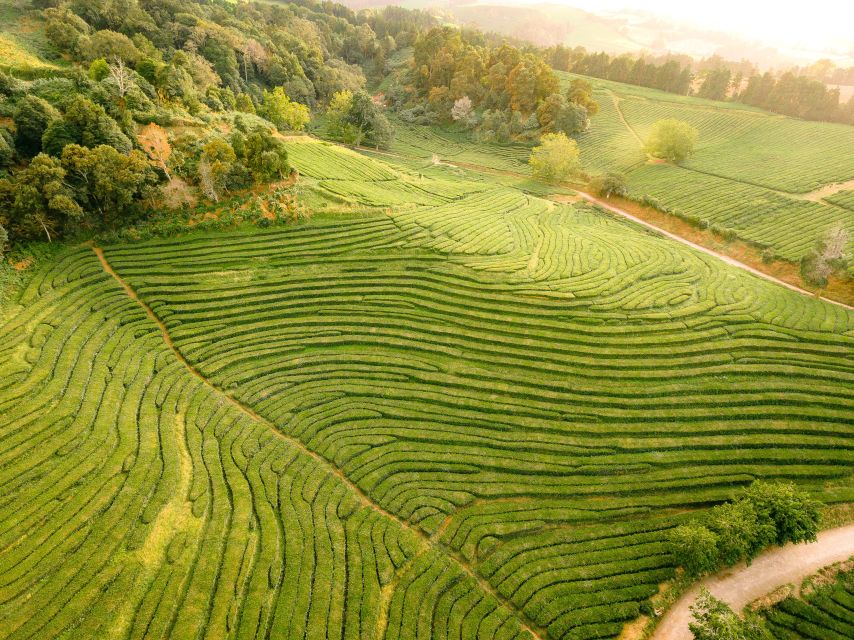 Furnas: Tea Plantations, Lake and Volcano Guided Tour - Vila Franca do Campo Islet: Quick Stops, Big Payoff