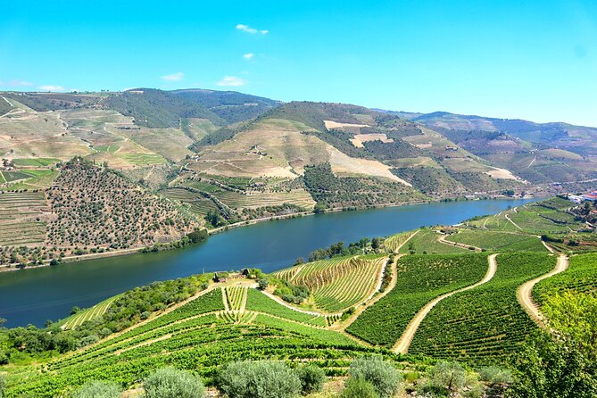 Genuine Douro Valley Tour: Visit 2 Wineries, Lunch & River Cruise - The ride, the timing, and why the day feels organized