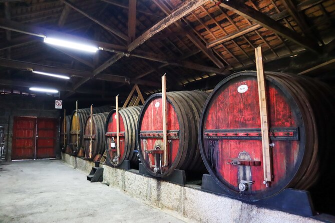 Genuine Douro Valley Tour: Visit 2 Wineries, Lunch & River Cruise - Driving the N222 and viewpoint stops: where the scenery becomes a story
