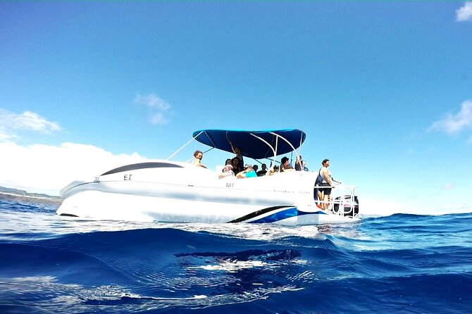 Glass Bottom Boat Tour & Snorkeling in São Miguel, Azores - Stop 1: Islet of Vila Franca do Campo, Then Time to Snorkel