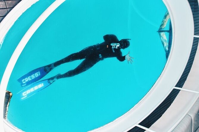 Glass Bottom Boat Tour & Snorkeling in São Miguel, Azores - The Marine Biologist Angle: Learning Without Making It a Lecture