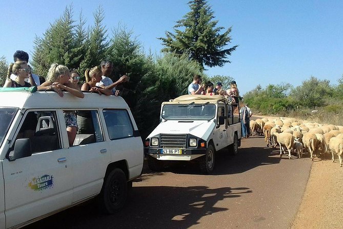 Half-Day Algarve Countryside and Villages Jeep Safari - Cork, Carob, and Medronho: The Tastings That Give the Tour Meaning