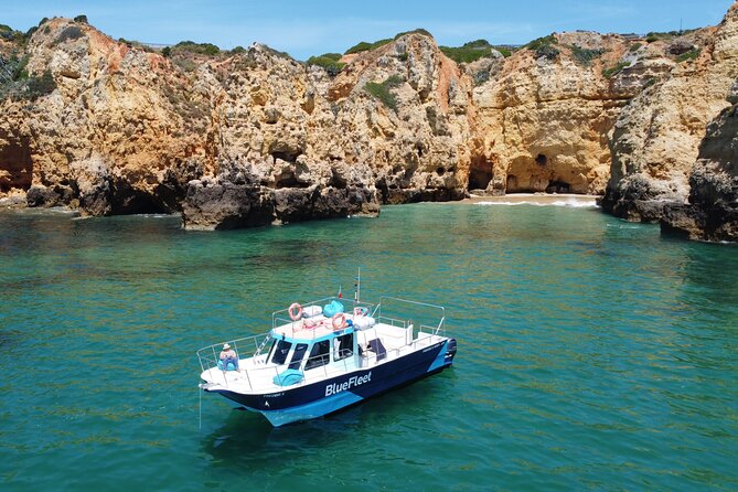 Half Day Cruise to Ponta da Piedade with Lunch and Drinks - Wildlife moments: dolphins can show up