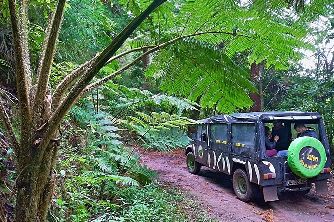 Half-Day Small-Group Madeira Village Safari from Funchal - Key Highlights You Should Know Before You Go