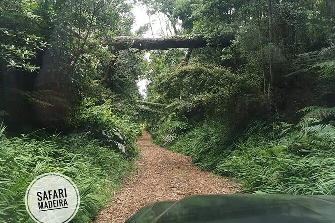 Half-Day Small-Group Madeira Village Safari from Funchal - Price and Value: Is $53.23 a Good Deal?