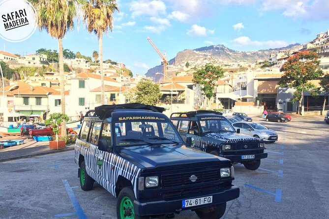 Half-Day Small-Group Madeira Village Safari from Funchal - Pickup, Meeting Point, and Getting There Without Stress