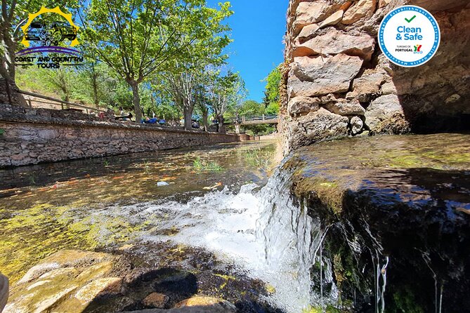 Half Day Tour with Jeep Safari in the Algarve Mountains - Quinta Do Goji Farm Stop: Honey Tasting, Medronho Water, and Product Time