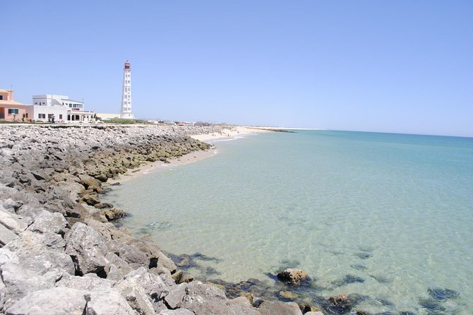Ilha Deserta and Farol Island: a small group boat trip in Ria Formosa from Faro - Guides who make birds and lagoon life easier to see