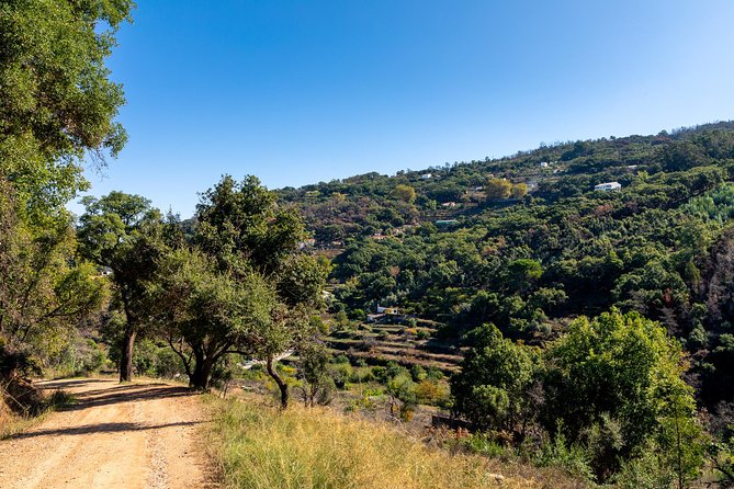Jeep Safari #1 in Algarve - Monchique country roads: why the Jeep format matters