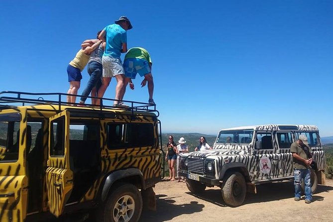 Jeep Safari Tour - Full Day - Inside the Land Rover Defender ride: adventure, with a comfort tradeoff