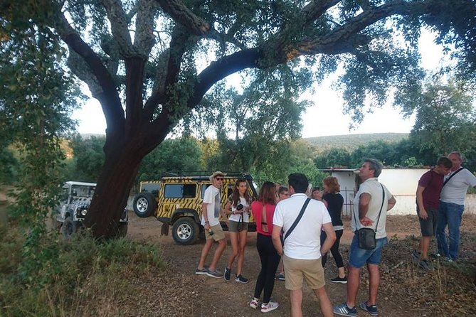 Jeep Safari Tour - Full Day - Stop 2: Paderne Castle, historic ruins and the one-day closure reality (about 20 minutes)
