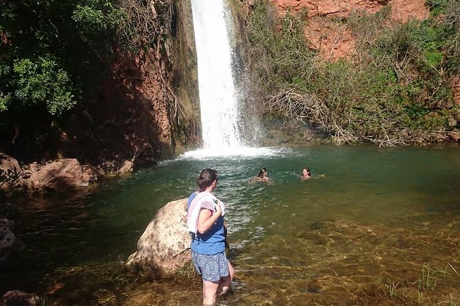 Jeep Safari Tour - Full Day - Food stops: pastries, orange juice, and the optional lunch with wine